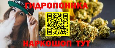 сатива Балахна