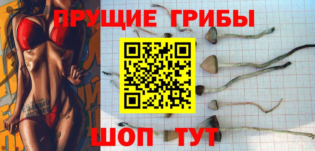 Дзержинск  где купить наркотик  Вход с VPN  Галлюциногенные грибы Magic Shrooms 