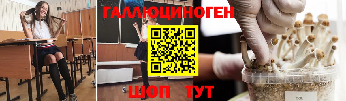 Галлюциногенные грибы Psilocybe Дзержинск